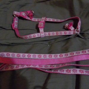 large harness leash set